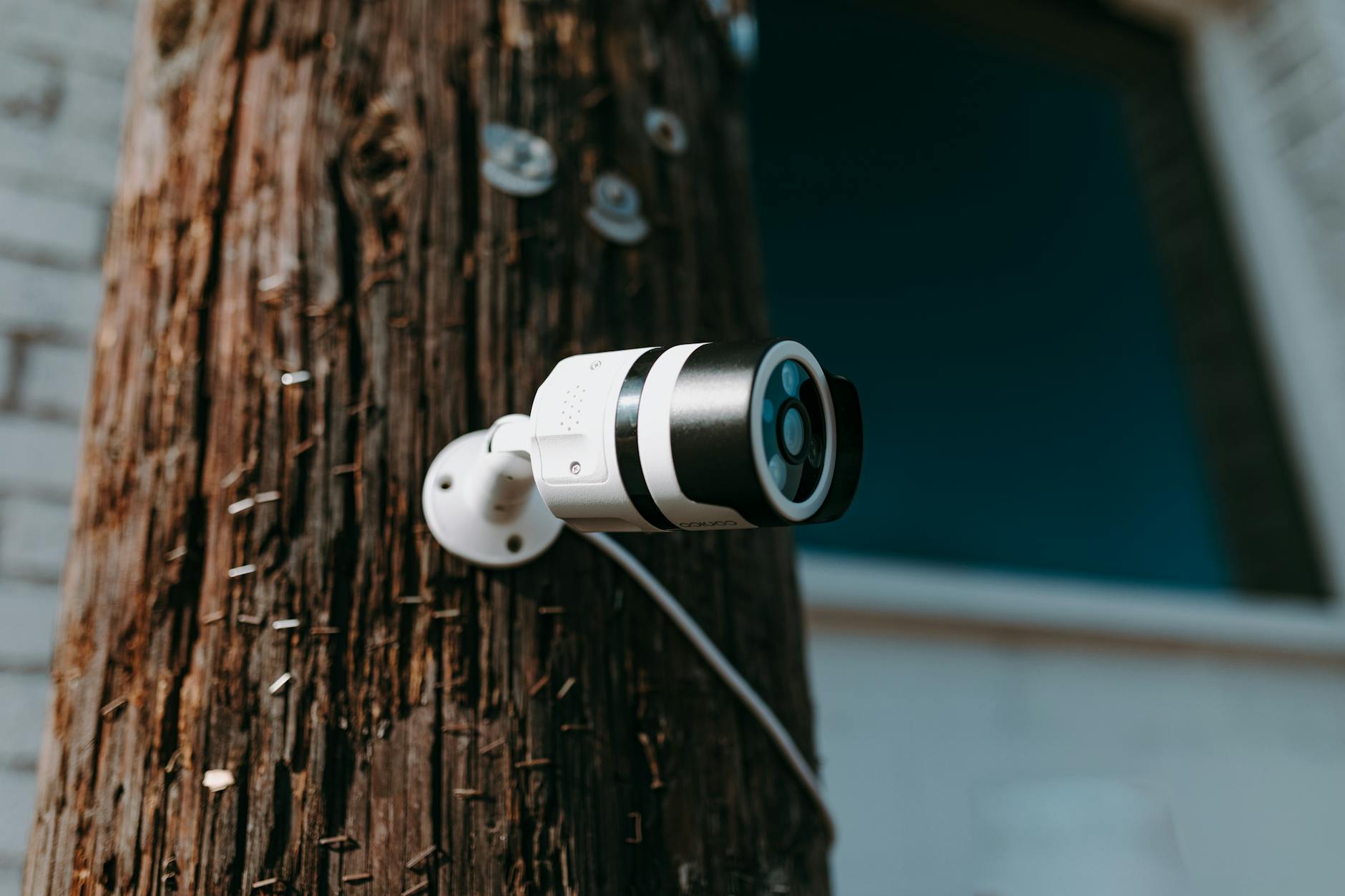 Home Security Unlocked: Smart Solutions to Safeguard Your Loved Ones 8 white and black camera lens on brown wooden tree trunk Home Security Unlocked: Smart Solutions to Safeguard Your Loved Ones