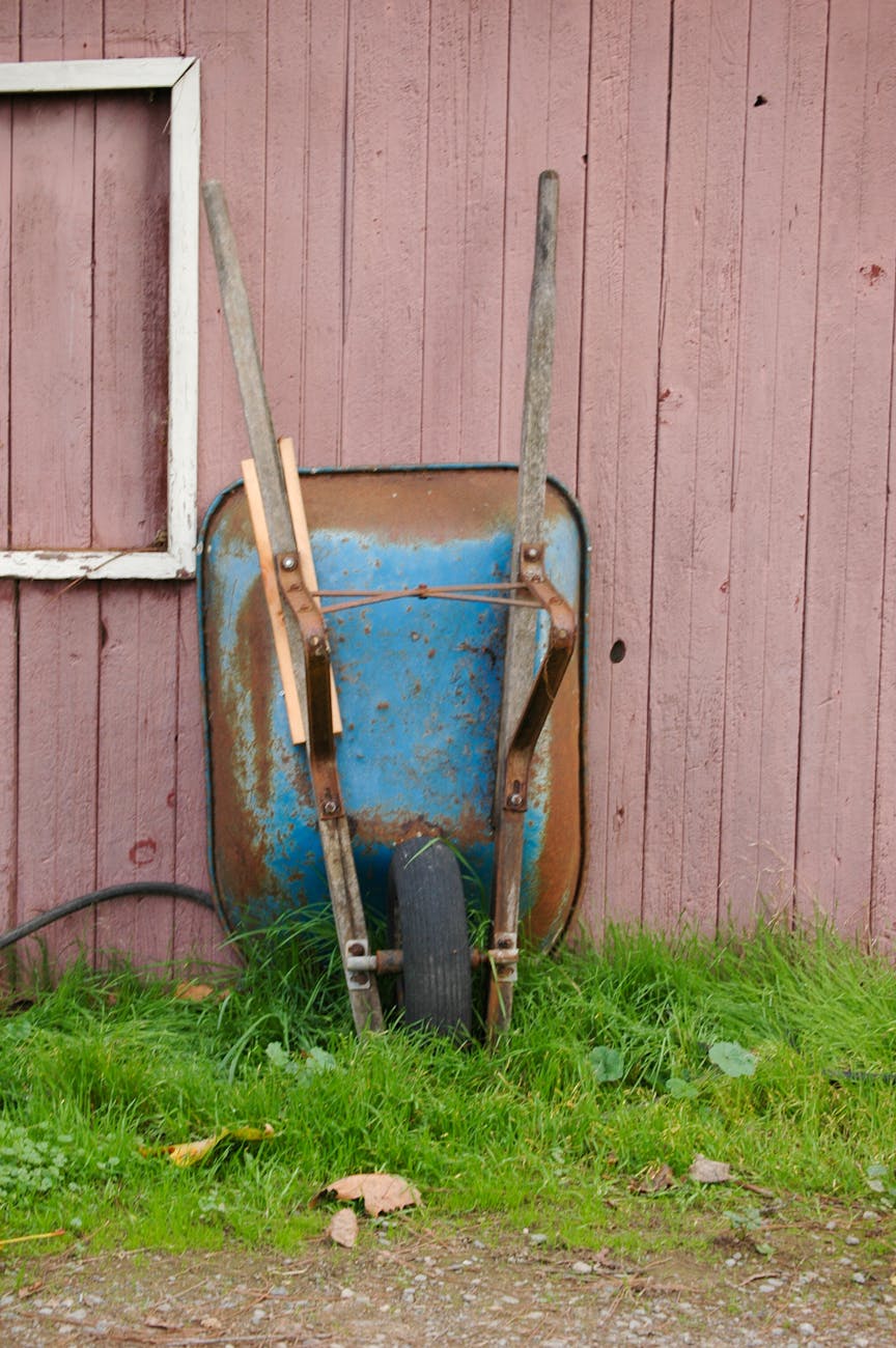 blue rusty wheelbarrow on green grass The Benefits of Rotating Seasonal Items into Storage