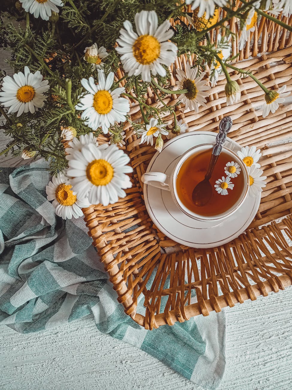 Finding Calm: Simple Strategies to Manage Stress and Anxiety This Spring 9 chamomile flowers and a cup of tea