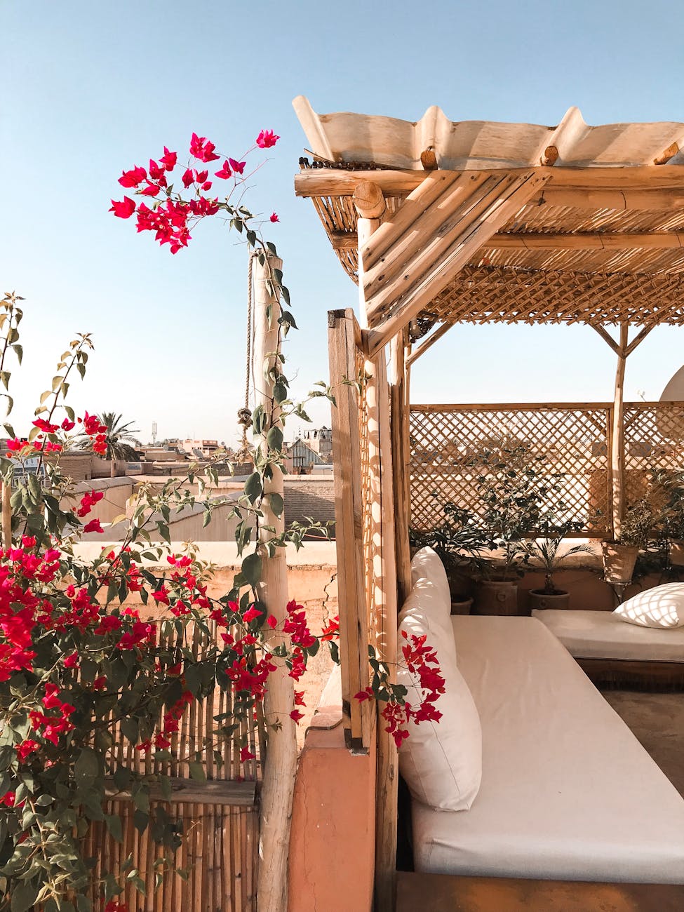 red flowers near a shed The Ultimate Guide to Indoor/Outdoor Living Spaces
