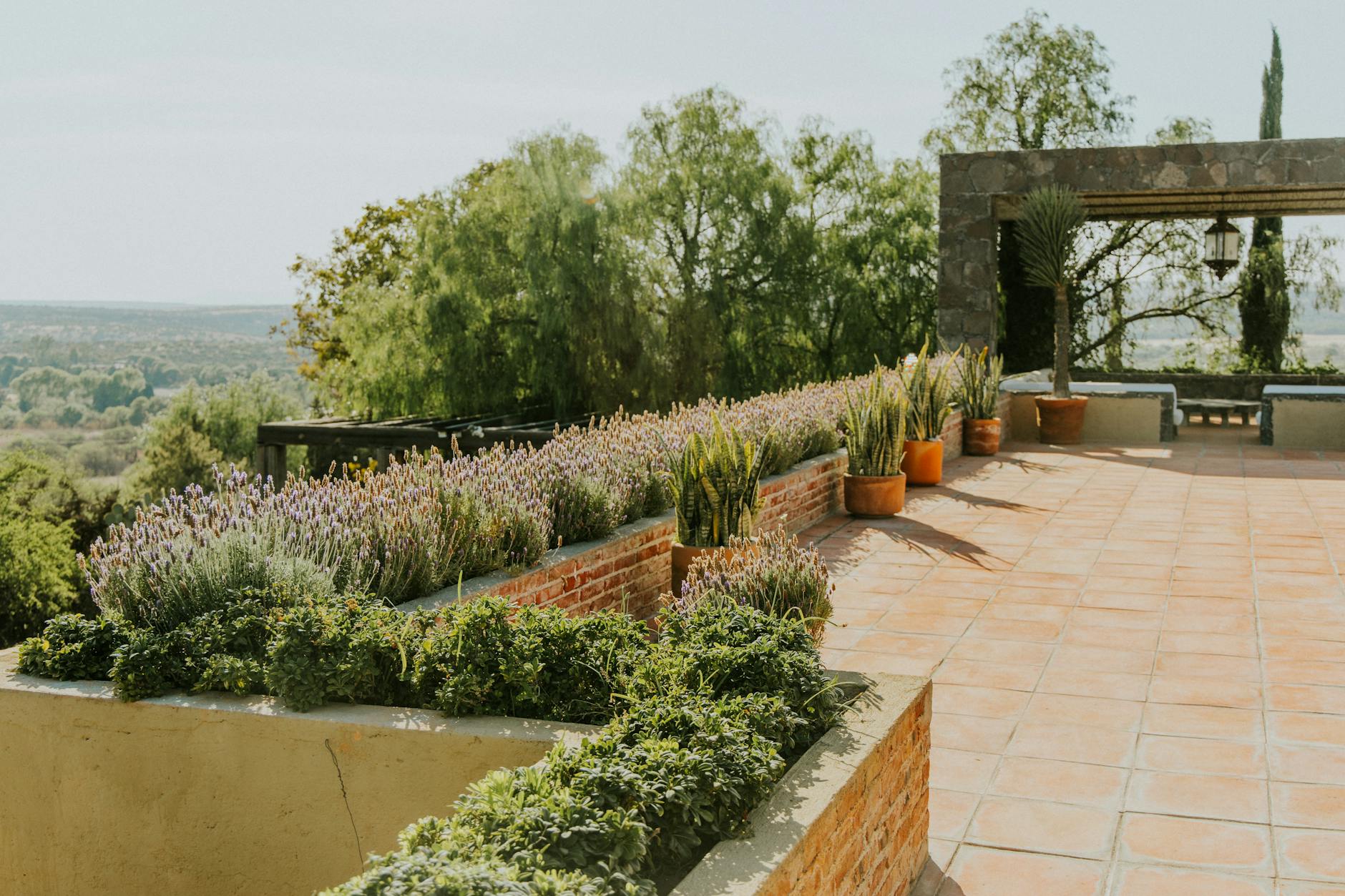 peaceful terrace garden with lavenders and succulents The Ultimate Guide to Indoor/Outdoor Living Spaces