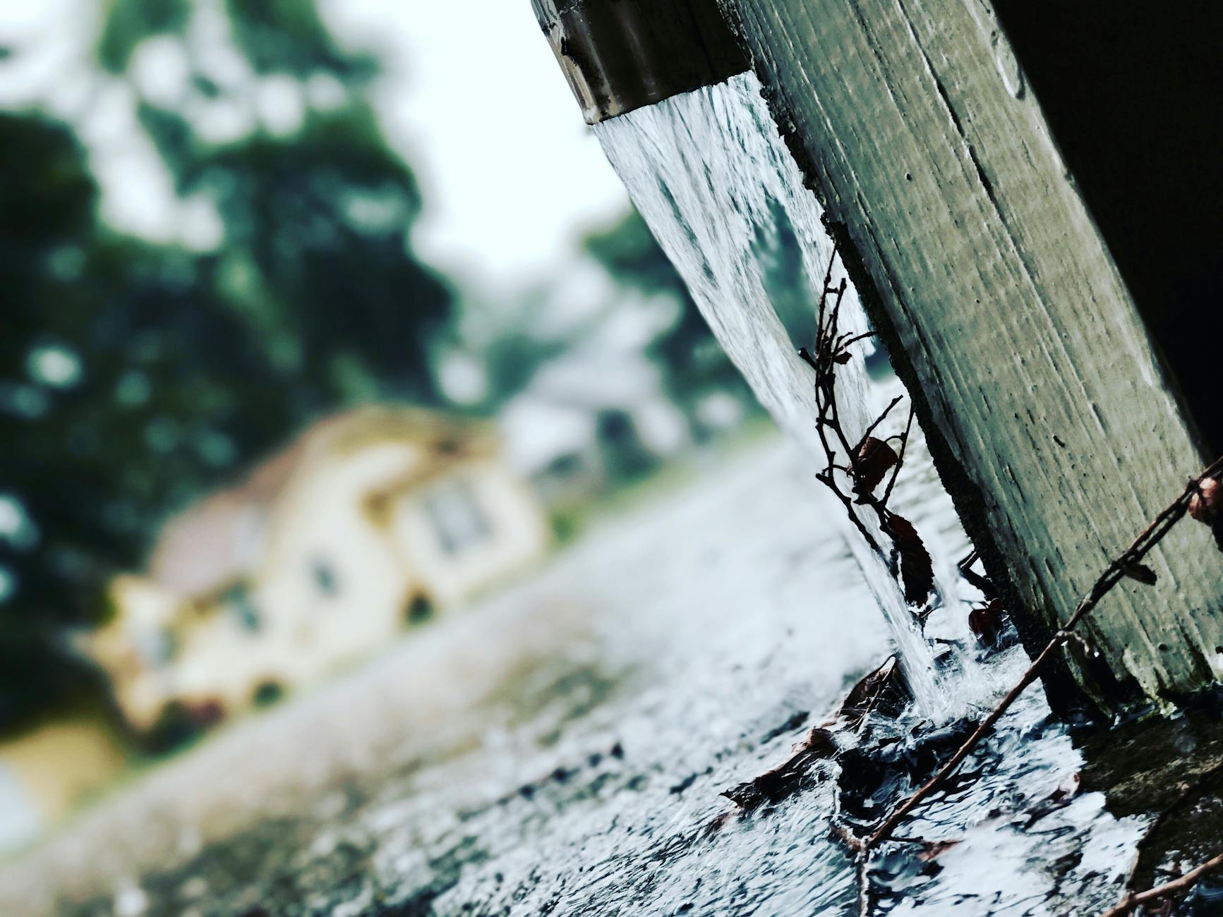 brown body of water Everything You Need to Know About Gutter Maintenance in a Nutshell