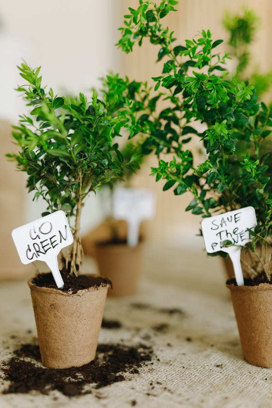potted green plants on burlap fabric How To Make Your Company More Energy Efficient And Carbon-Friendly