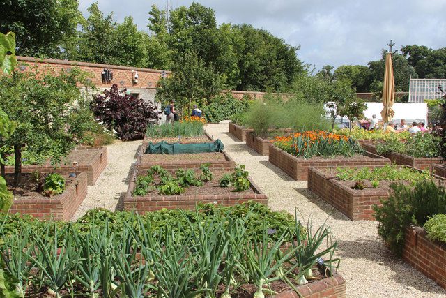 Raised beds in the walled garden