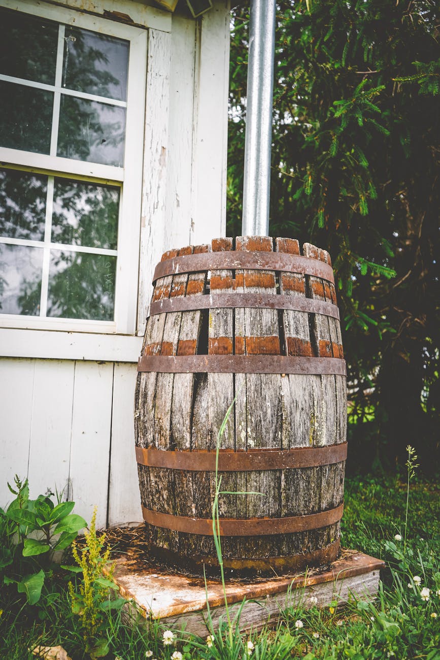 brown wooden barrel near green plant How to Have an Eco-Friendly Home: Ideas to Save Money and Live Sustainably