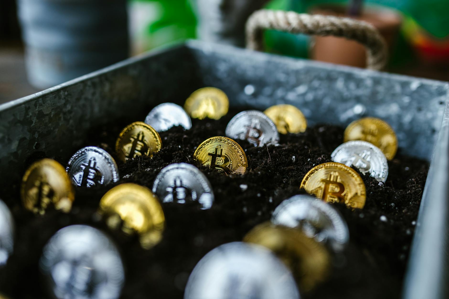 close up shot of bitcoins buried in the ground Challenges of Cryptocurrency Operations in Enterprises and Solutions for Smooth Crypto Integration