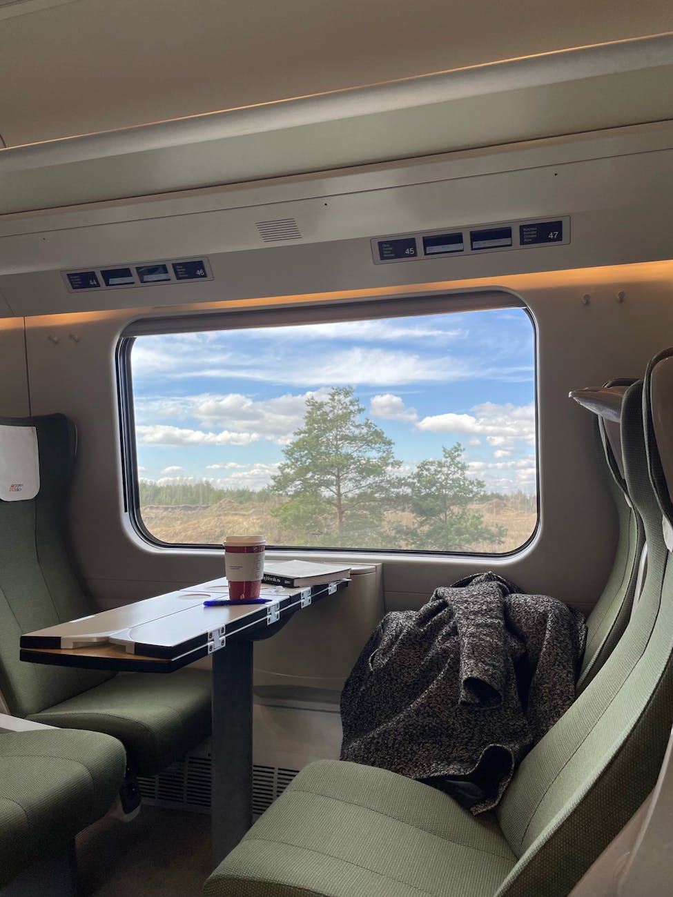 trees and clouds behind train window Luxurious Travel Activities to Add to Your Bucket List