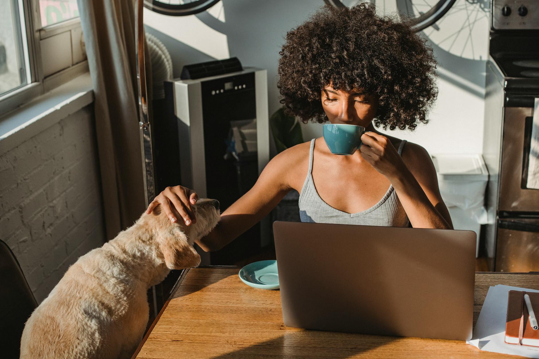 african american female freelancer using laptop and drinking coffee Signs You Should Become Self-Employed