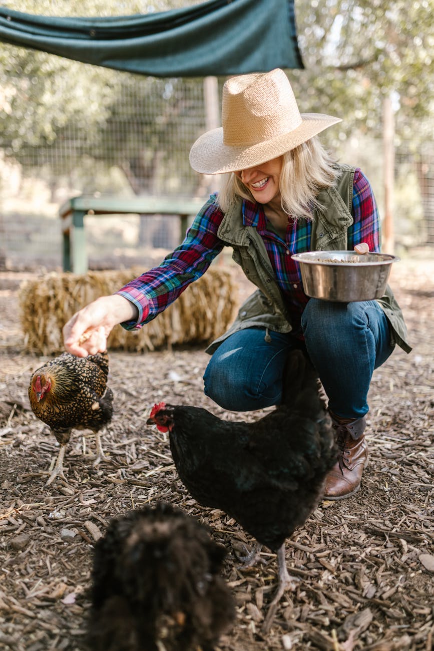 How To Find Your Dream Property For Starting A Homestead 8 woman feeding chickens on farm How To Find Your Dream Property For Starting A Homestead