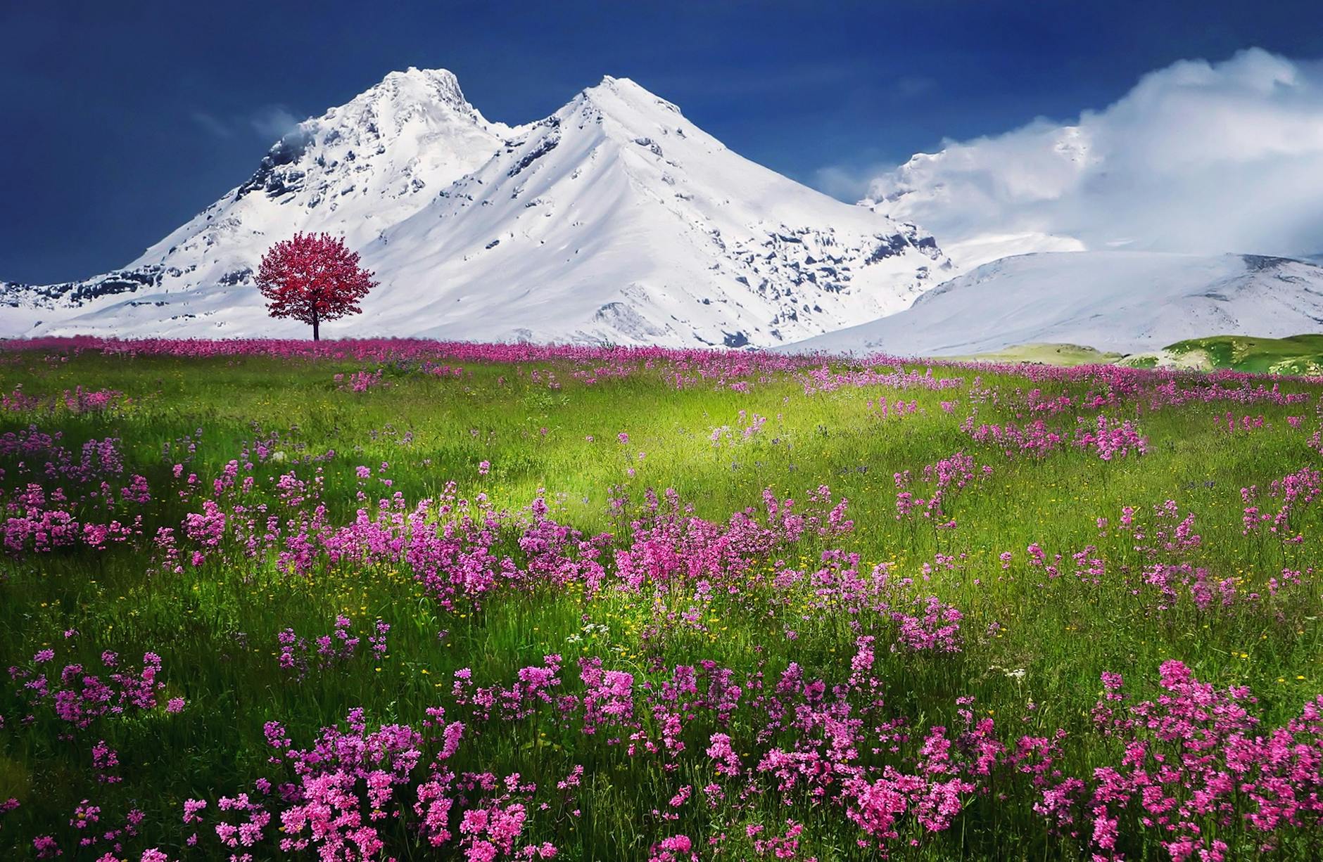 pink flowers near mountain covered by snow 5 Best Places to Buy Affordable Rural Land in the U.S. Reviewed 2025
