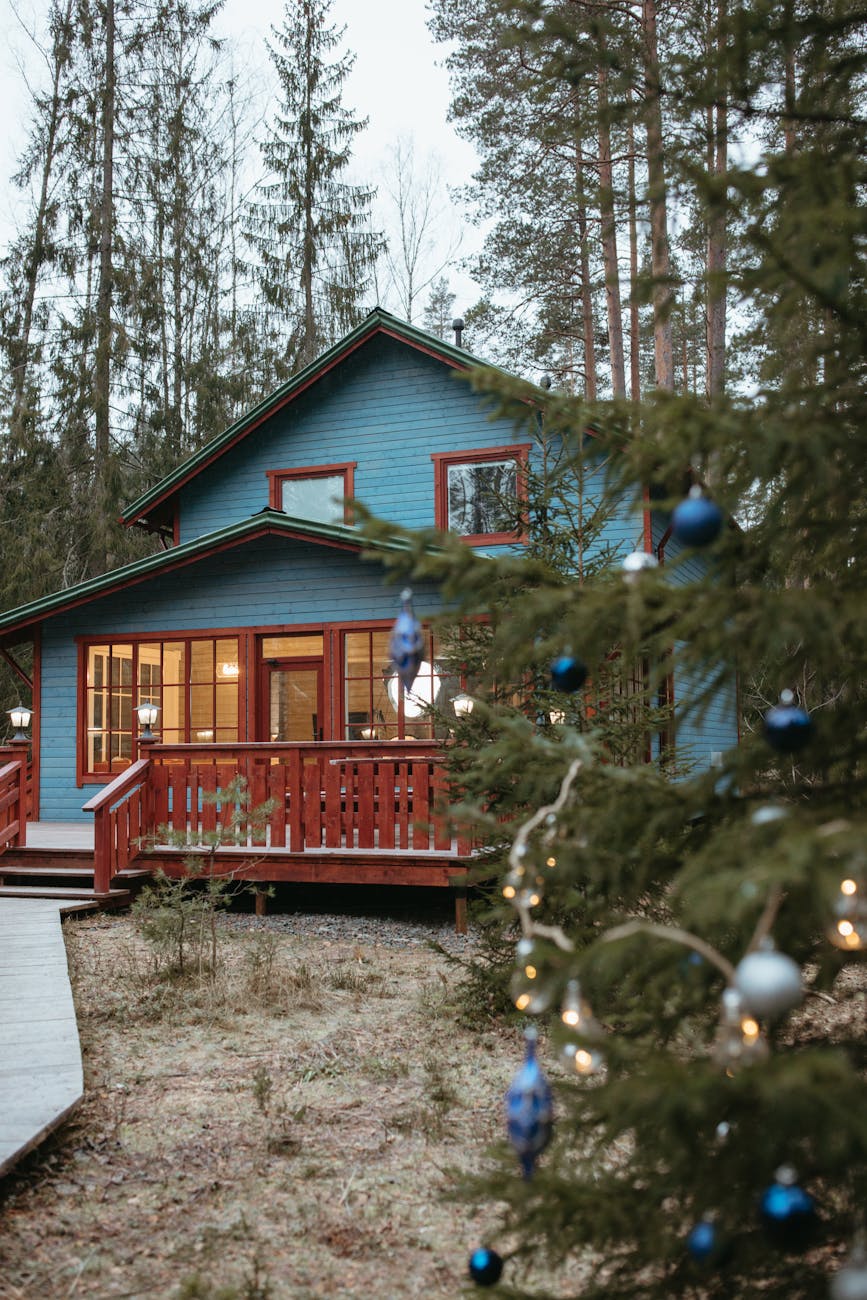How You Can Seamlessly Prep Your Home for Seasonal Changes 9 tree with christmas decorations outside a house How You Can Seamlessly Prep Your Home for Seasonal Changes