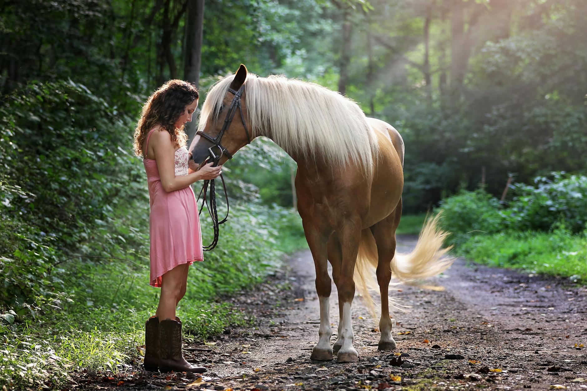 Owning a Horse: Breeds, Care, Supplies, Tack, and Equipment 13 woman wearing pink dress standing next to brown horse Owning a Horse: Breeds, Care, Supplies, Tack, and Equipment
