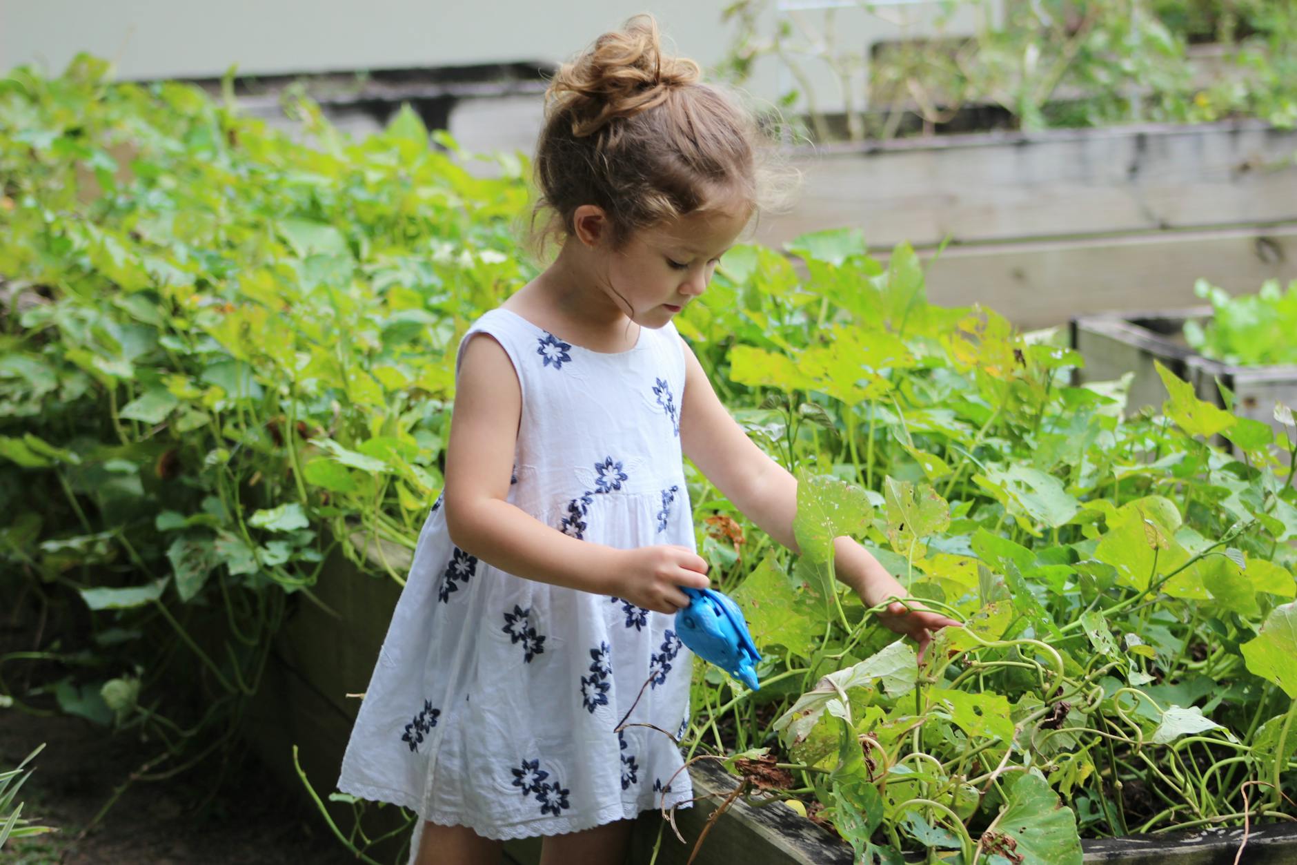 girl wearing white floral dress beside grass plant at daytime How to Make Your Garden Fun and Kid-Friendly