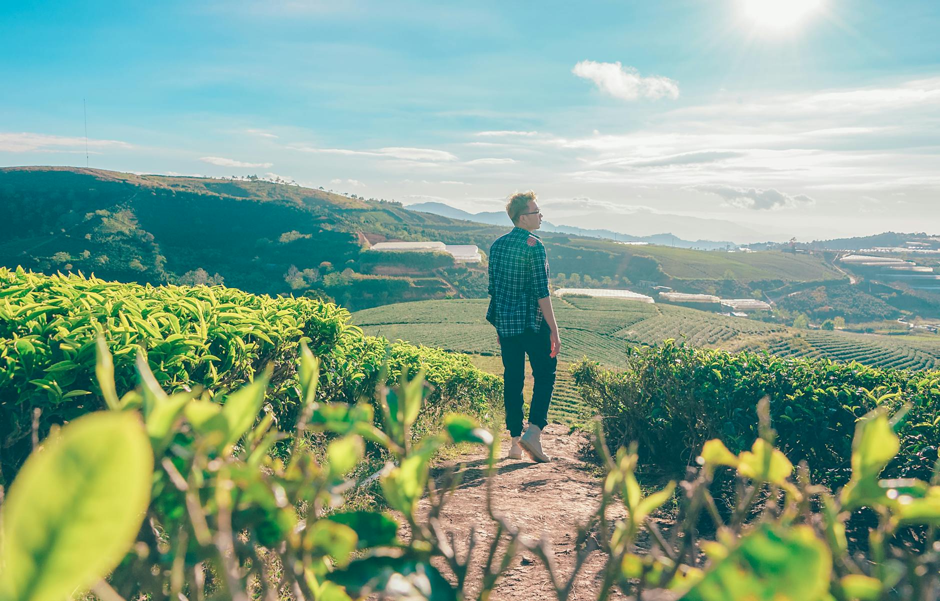 man in blue and black checkered dress shirt standing near green leafed plants Inspiring Reasons to Start Your Own Farm