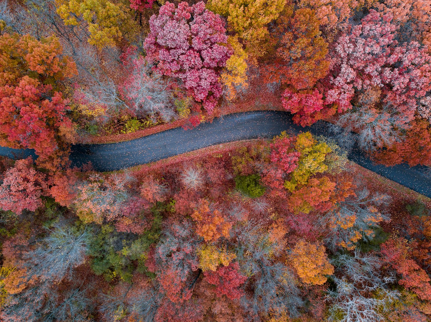 aerial photograph of concrete road between trees Moving to Michigan: Migration Trends and Top Destinations
