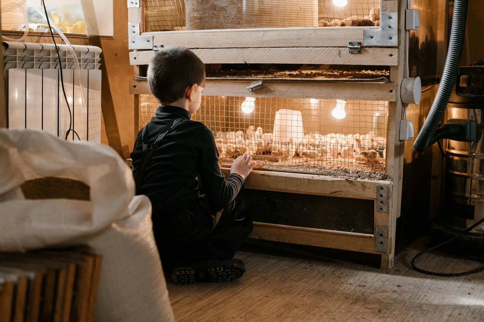 little kid sitting near brooder with chicks Inspiring Reasons to Start Your Own Farm