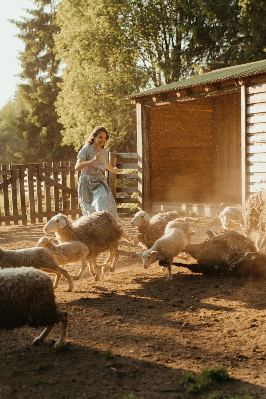 woman in blue shirt standing beside sheep Inspiring Reasons to Start Your Own Farm
