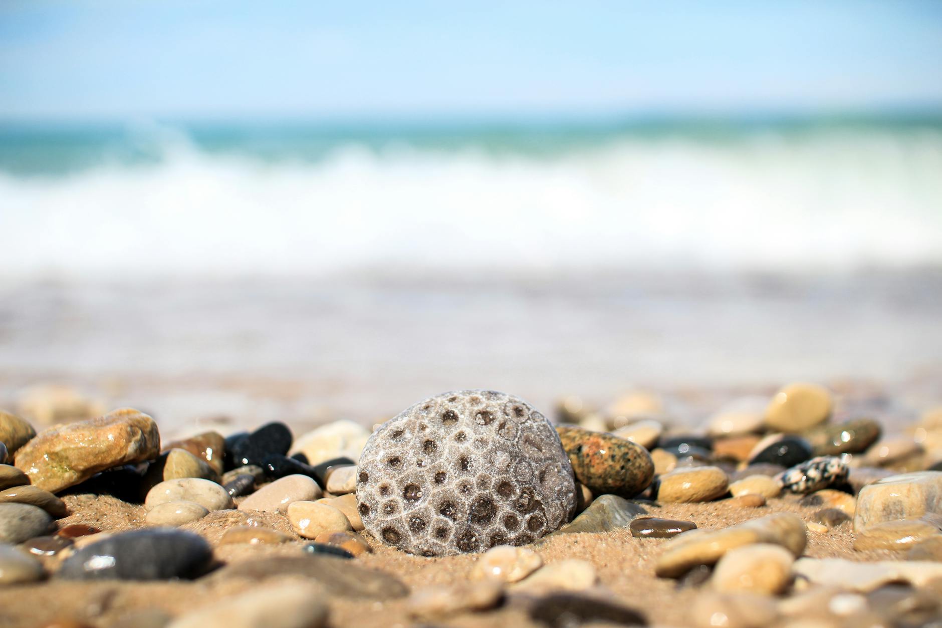 Lake Michigan petoskey stone Moving to Michigan: Migration Trends and Top Destinations