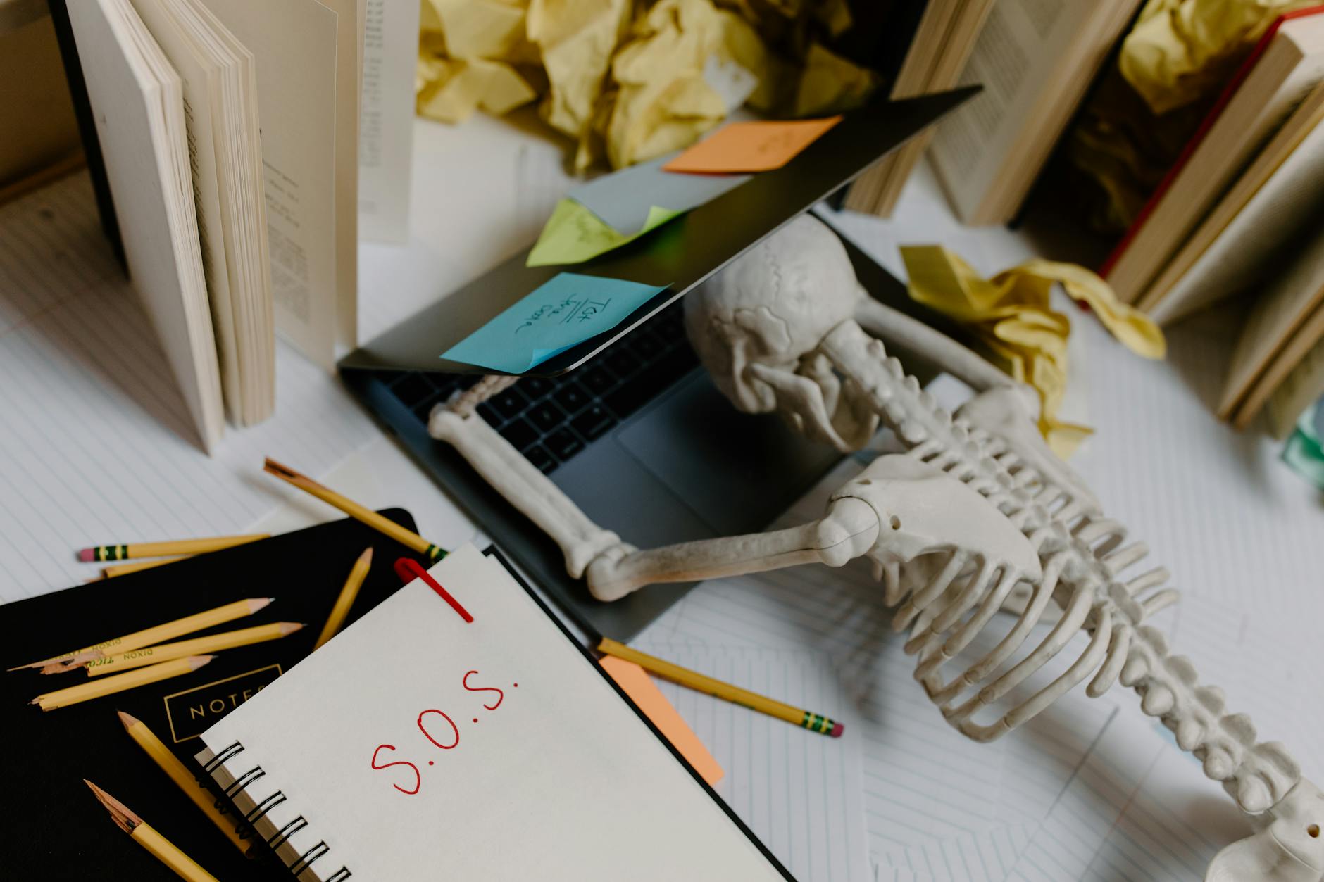 a skeleton leaning on a laptop https://modernfrontierswoman.com/the-role-of-workplace-safety-in-driving-business-success/
