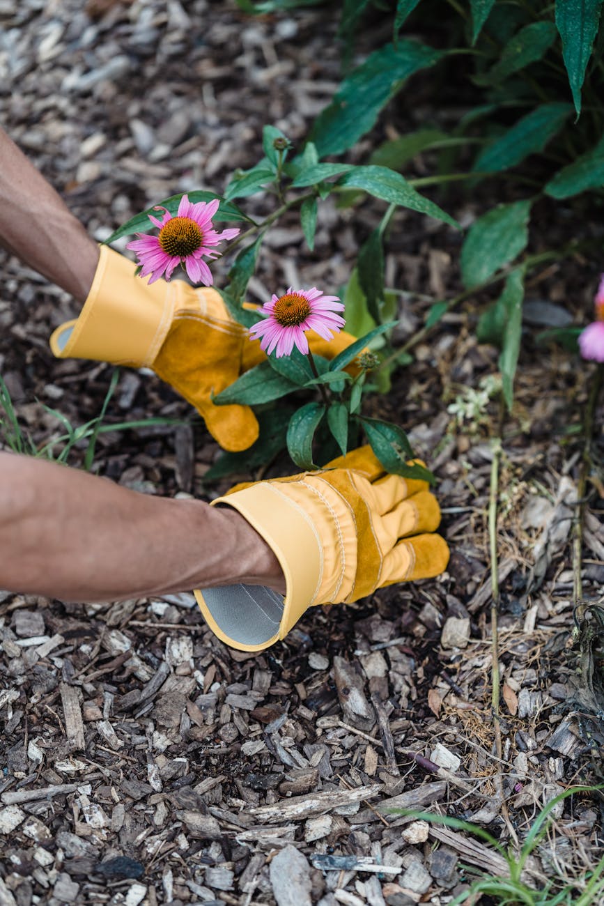 person in yellow rain boots holding yellow and purple flower How to Create a Wildlife Friendly Garden in Your Own Yard