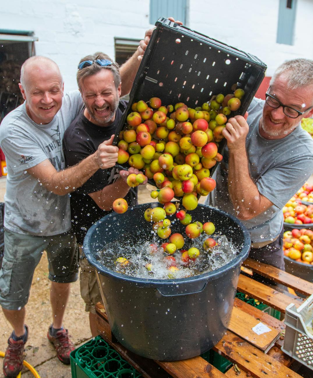 men holding a plastic crate with apples Inspiring Reasons to Start Your Own Farm