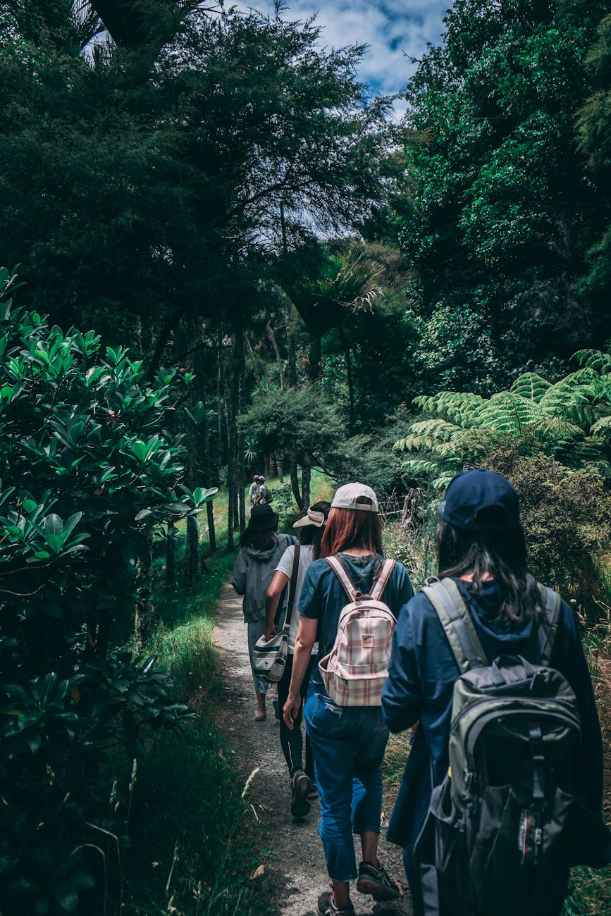 Sabbatical Planning Tips: How to Relax, Travel, and Find New Purpose 10 people wearing backpacks walking on pathway near green leaf plants Sabbatical Planning Tips: How to Relax, Travel, and Find New Purpose