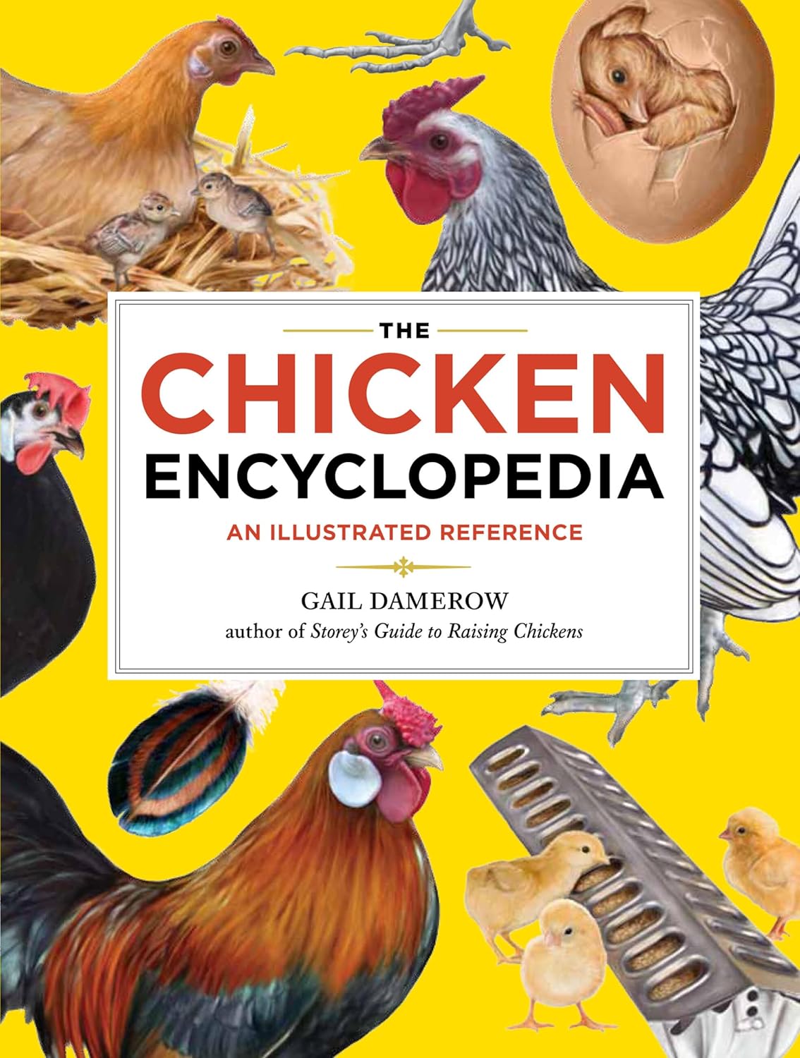 Choosing the Right Chicken Breed for Your Homestead 16 The Chicken Encyclopedia: An Illustrated Reference Choosing the Right Chicken Breed for Your Homestead