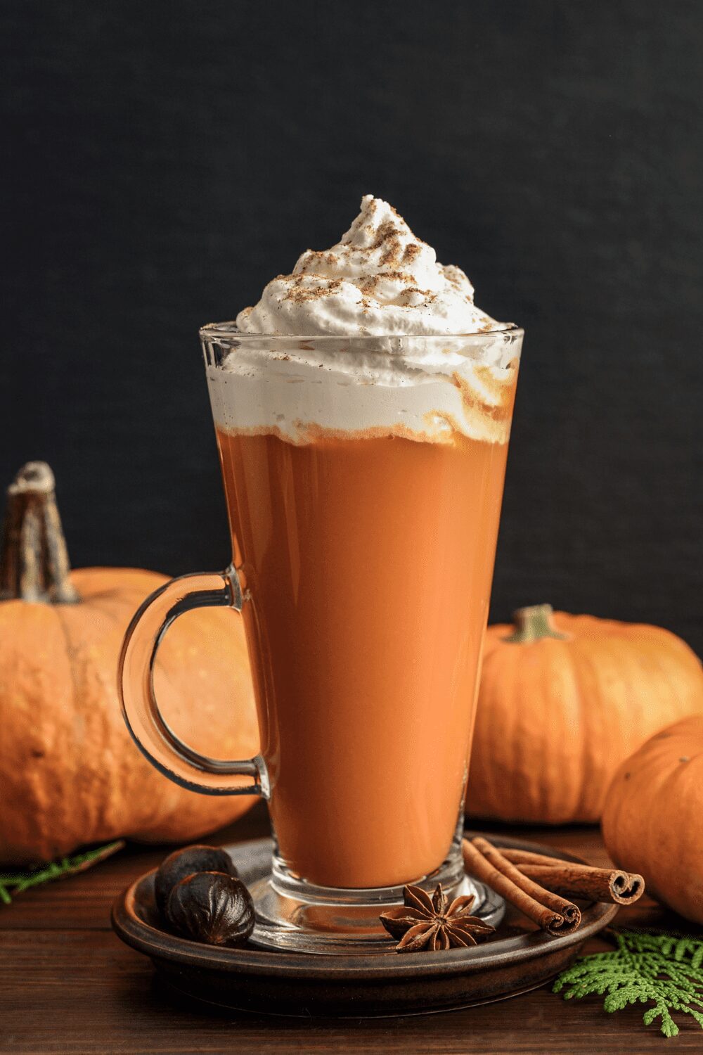 Cozy Fall Drinks for Kids & Grown-Ups Alike Creamy Pumpkin Spice Steamers