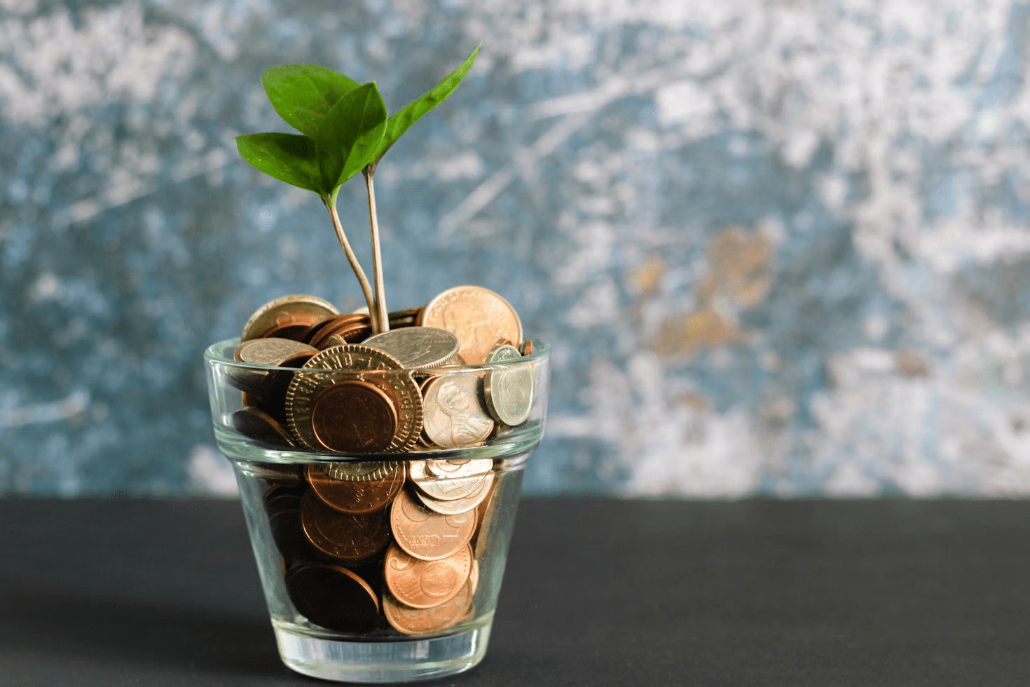 7 Simple Steps to Build Financial Security in Uncertain Times 11 A glass jar filled with coins, featuring a green plant sprouting from the top, set against a textured blue background.