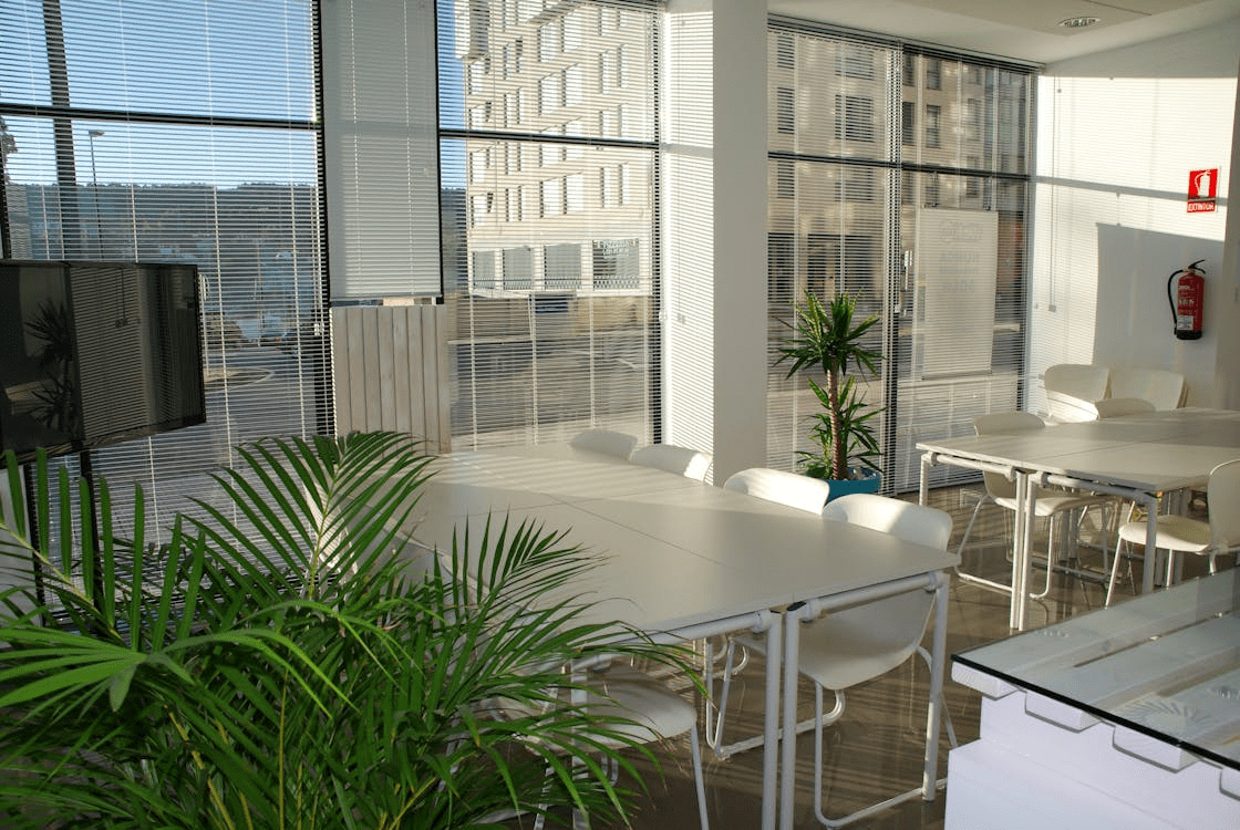 Bright and spacious office space featuring a large table surrounded by white chairs, adorned with indoor plants and ample natural light from large windows. 10 Ways to Make Clients Feel Comfortable in Your Office
