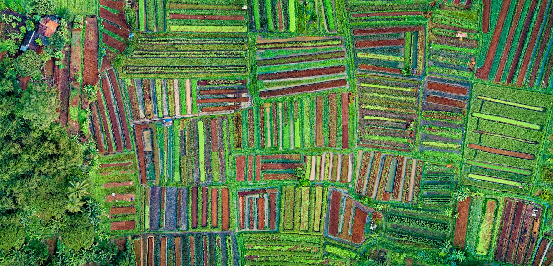 drone shot of cropland 9 Tips to Plan Ahead for the Next Farming Season