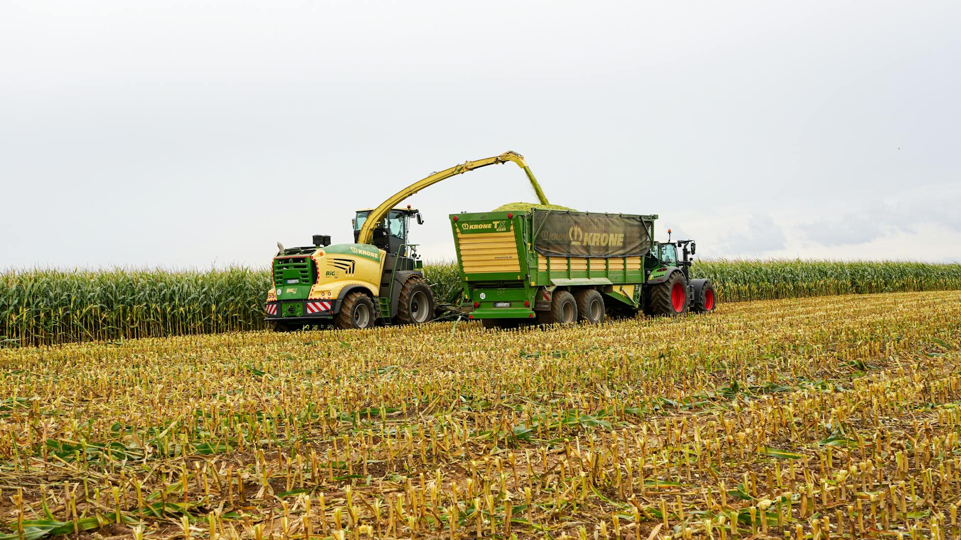 tractor harvesting corn in lutau germany 9 Tips to Plan Ahead for the Next Farming Season