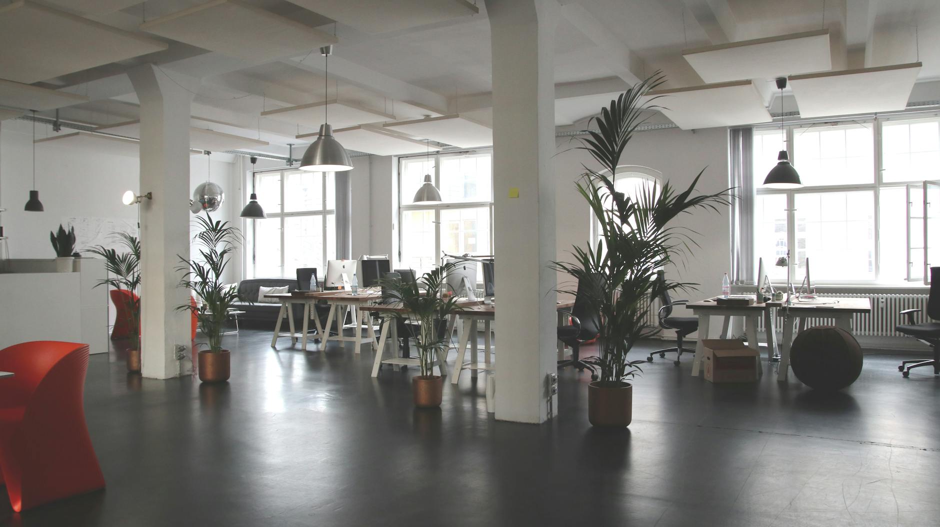green leafed plants 10 Ways to Make Clients Feel Comfortable in Your Office