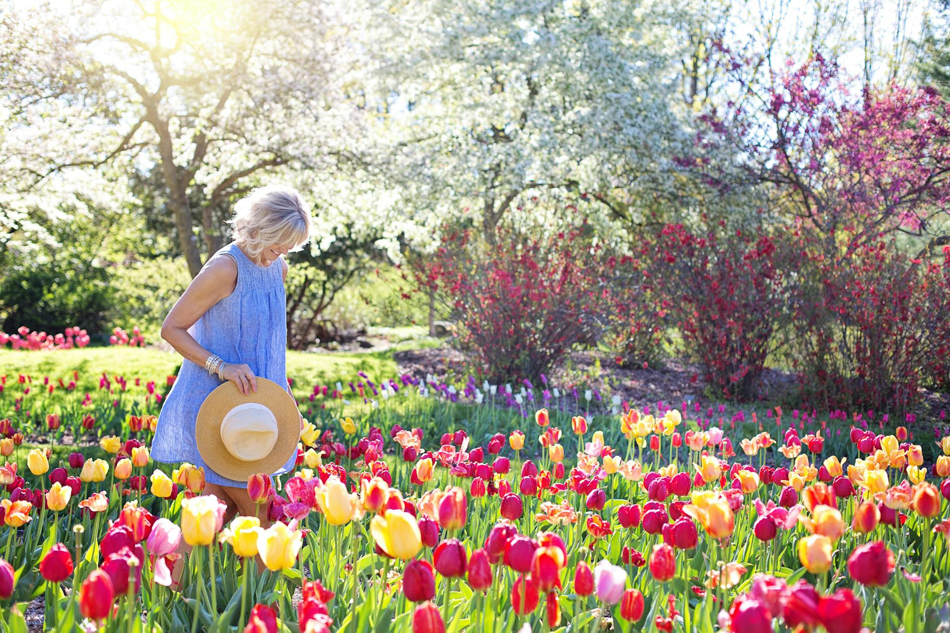 woman walking on bed of tulip flowers Spring Garden Prep Guide: Simple Upgrades with Big Impact