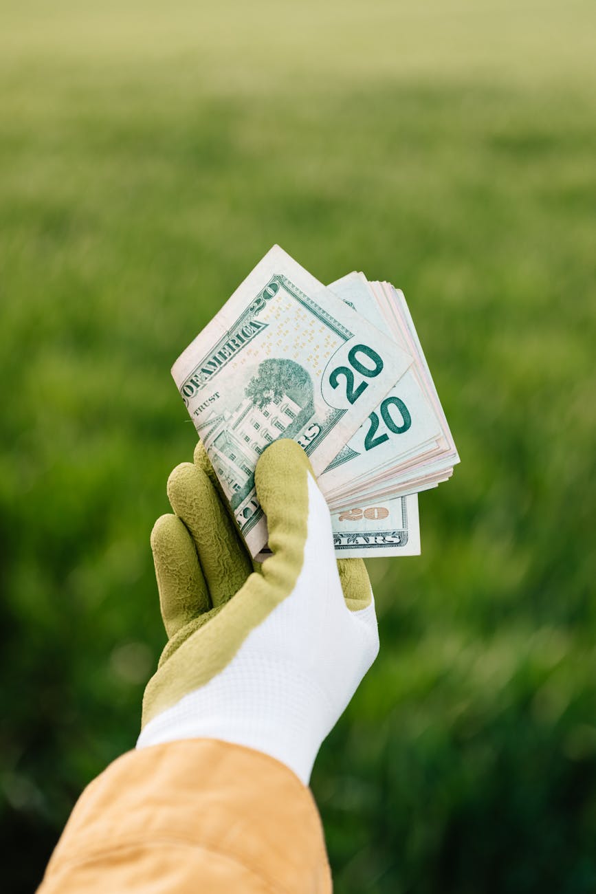 crop unrecognizable grower showing heap of dollars in cash above field 9 Tips to Plan Ahead for the Next Farming Season