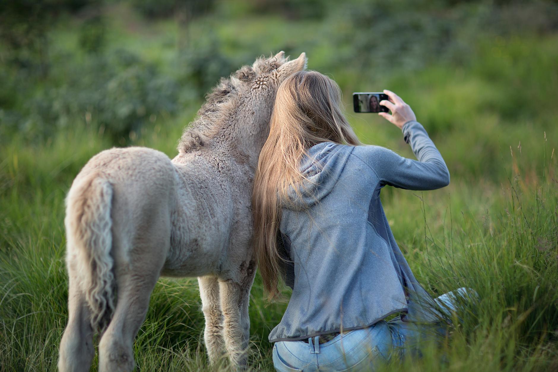 woman beside donkey taking selfie on grass Rural Tech Tools That Make Country Living Easier