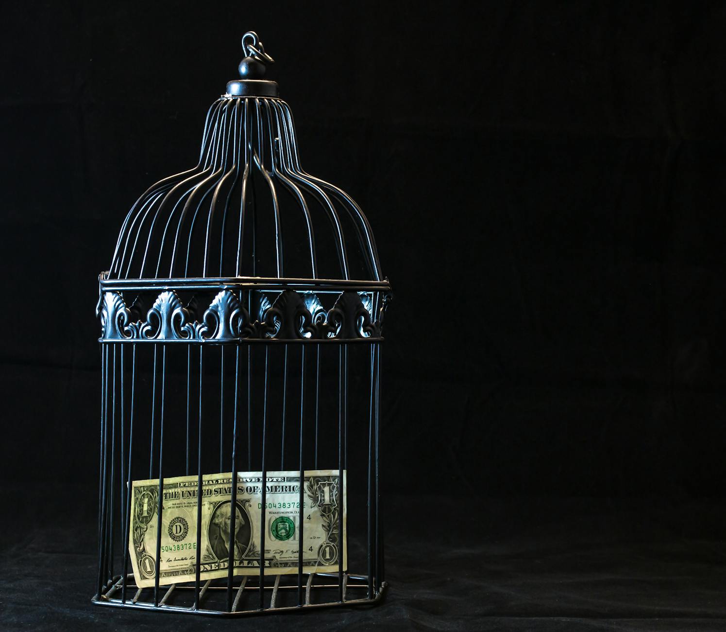 7 Simple Steps to Build Financial Security in Uncertain Times 8 black steel pet cage with one dollar