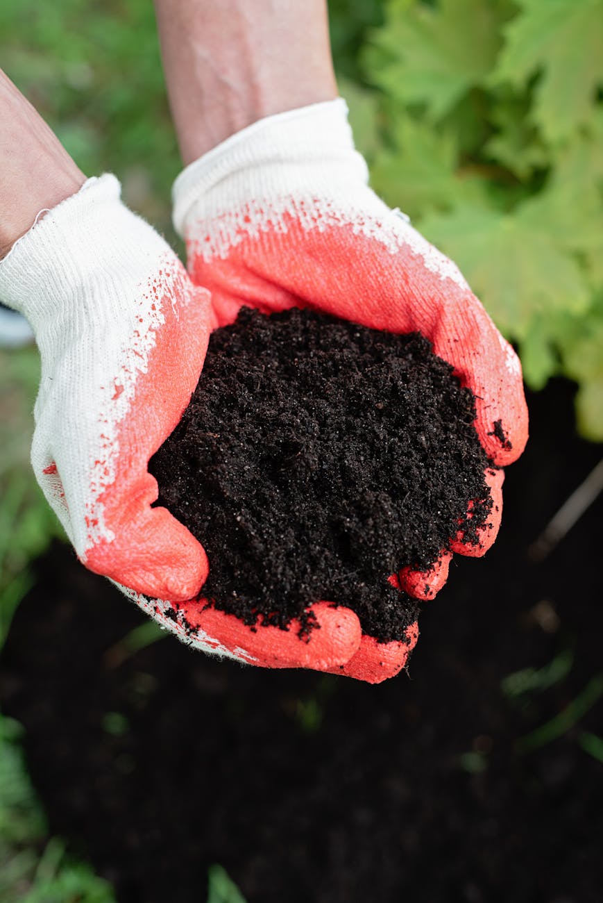 person with soil on hands 9 Tips to Plan Ahead for the Next Farming Season