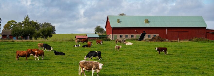 Rotational Grazing