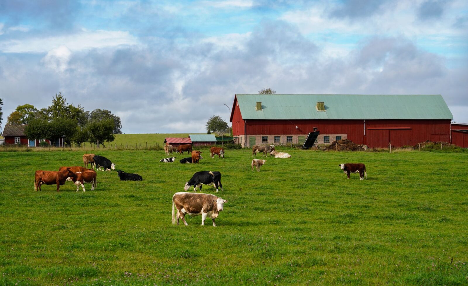 Rotational Grazing