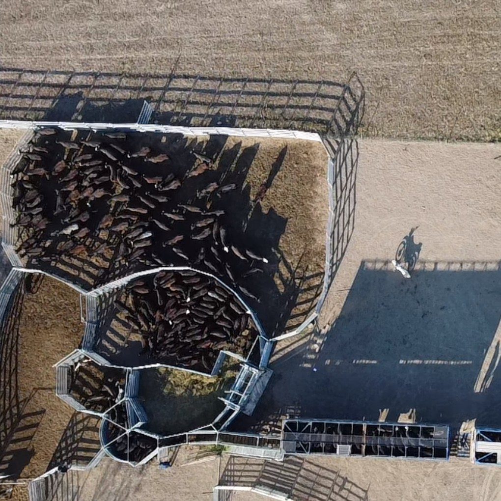 4 Rivers Ranch: Cattle Gate Design Features