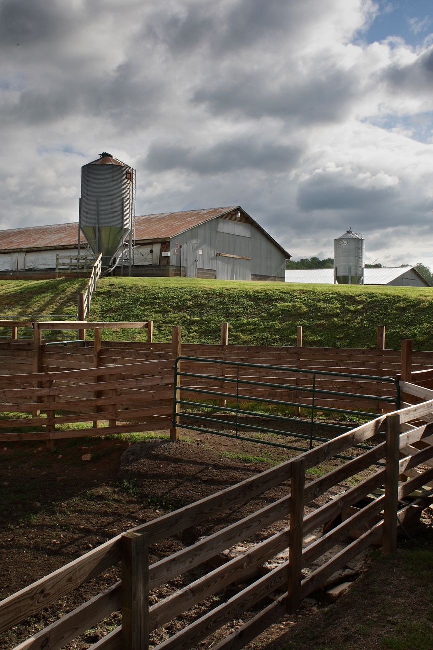 brown wooden fence Cattle Fence Design: Planning Corrals, Gates, and Working Pens