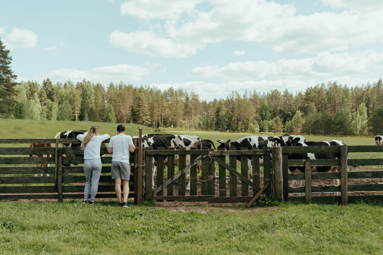 people standing on green grass field
