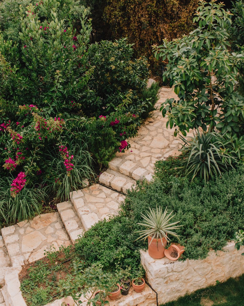 stone path leading through flower bushes in garden Smart Plant Sourcing for Landscaping Projects