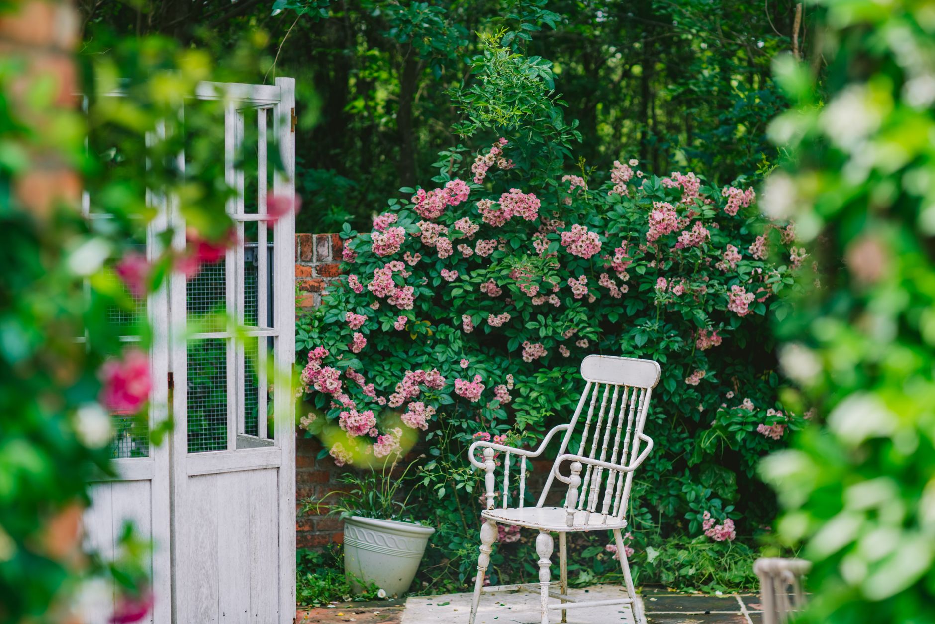 Understanding Plant Nutrients for Healthier Gardens 21 tranquil garden scene with rustic chair Understanding Plant Nutrients for Healthier Gardens