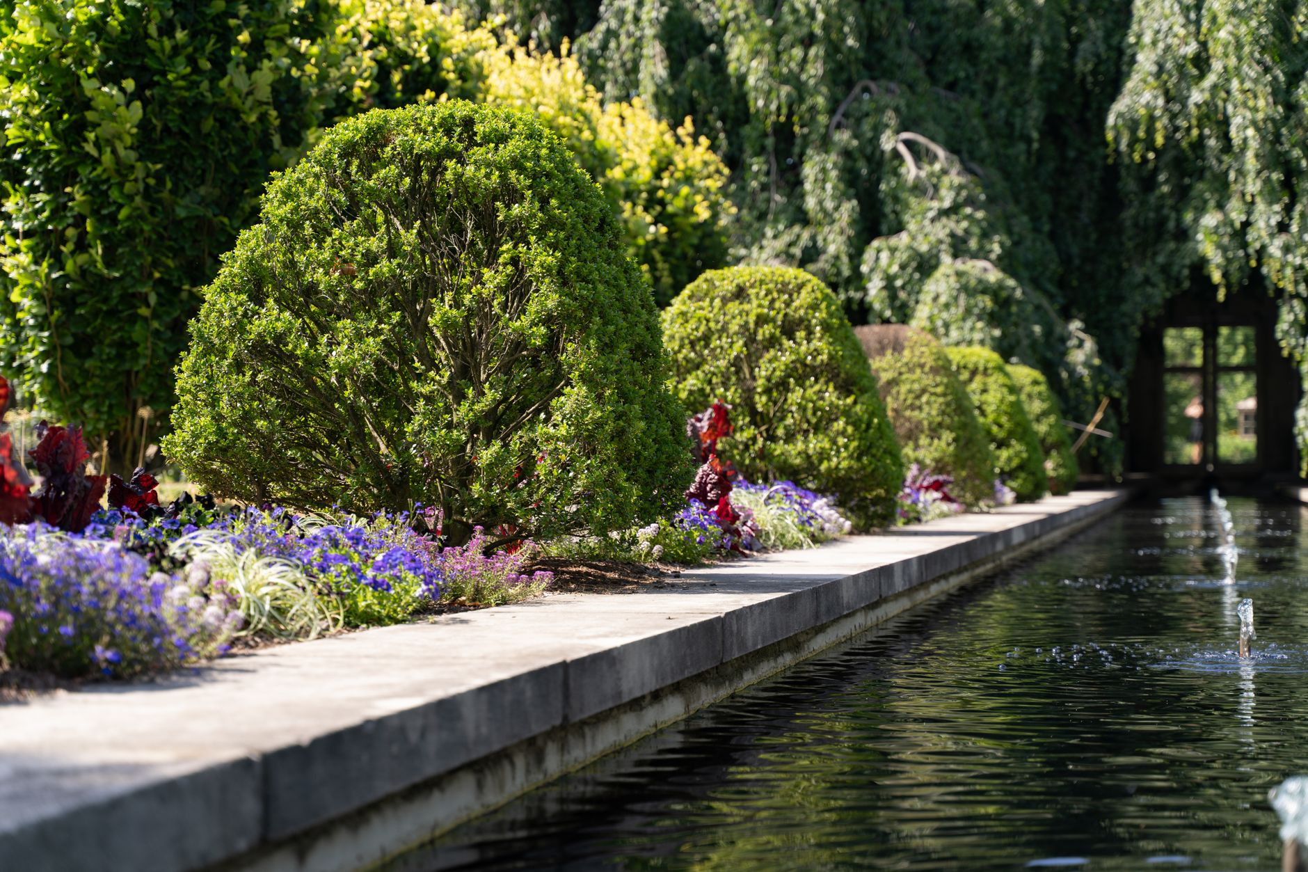 tranquil garden view with manicured shrubs Smart Plant Sourcing for Landscaping Projects