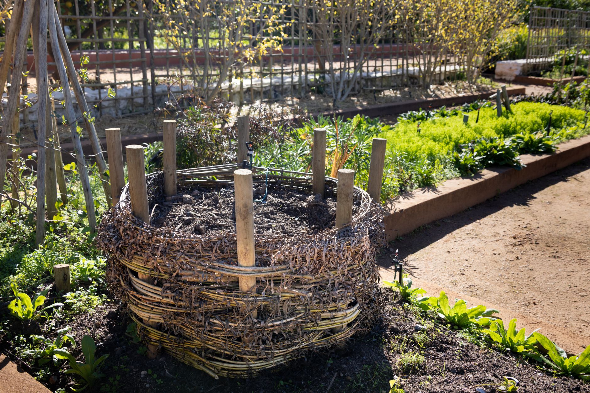 Understanding Plant Nutrients for Healthier Gardens 19 sustainable garden composting in spring light Understanding Plant Nutrients for Healthier Gardens