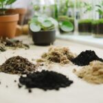 soils for plants on table Understanding Plant Nutrients for Healthier Gardens