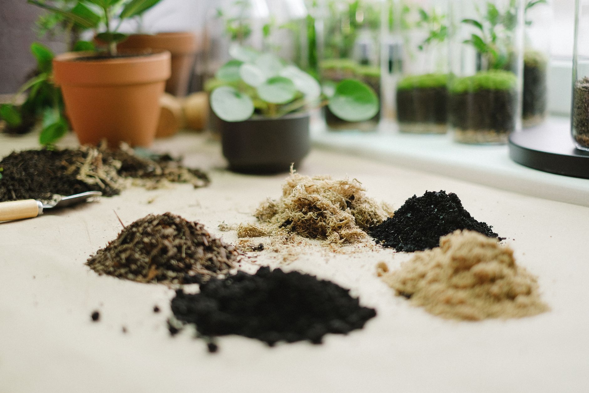 soils for plants on table Understanding Plant Nutrients for Healthier Gardens