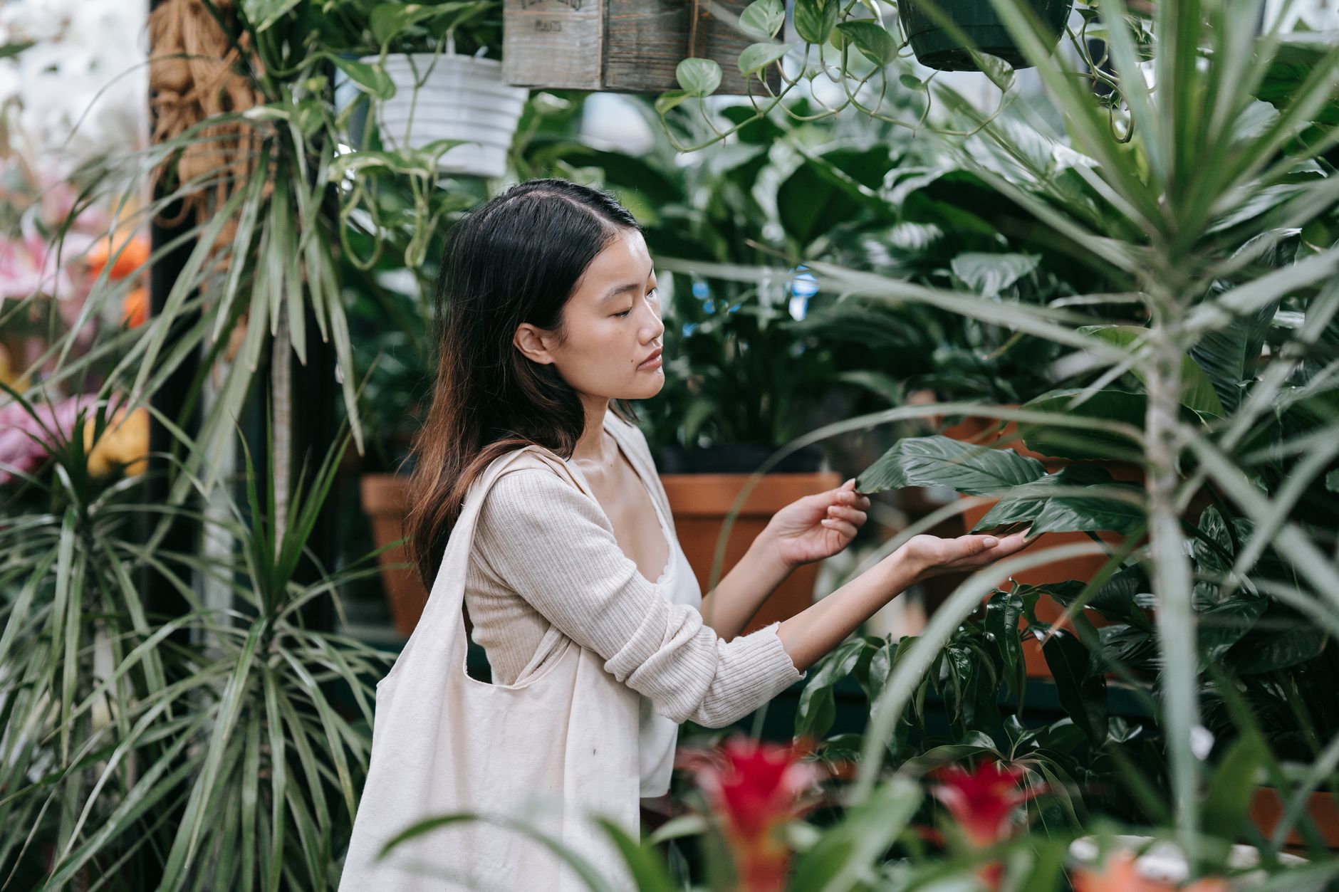 woman in white long sleeve shirt standing near green plants Smart Plant Sourcing for Landscaping Projects